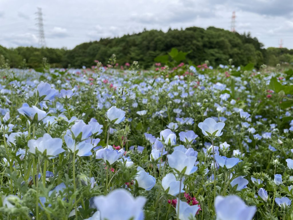 藤沢市の理美容業